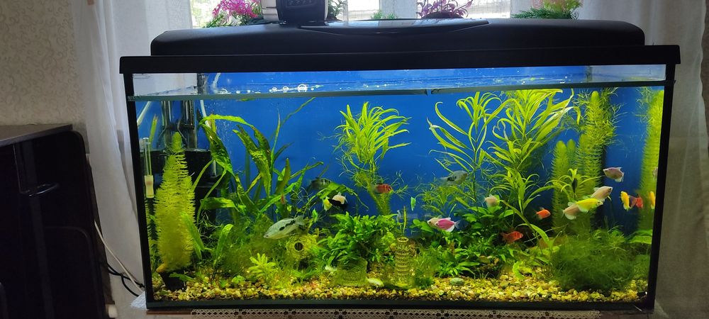 Продам Аквариум на 200литров