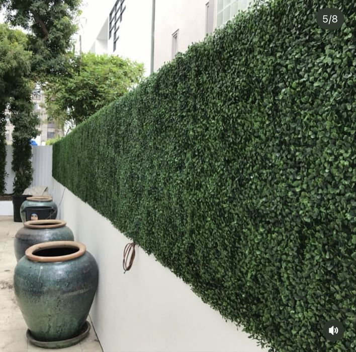 Самшит Искусственный