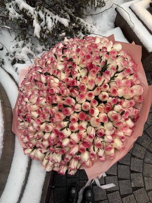 Продам 505 роза , свежые ,