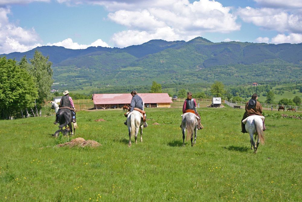 Продава се Парцел в Априлци - 15000 кв.м за 29 €/кв.м - Снимка #1