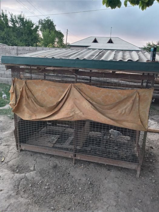 2 Qavatli tovuq katak sotiladi