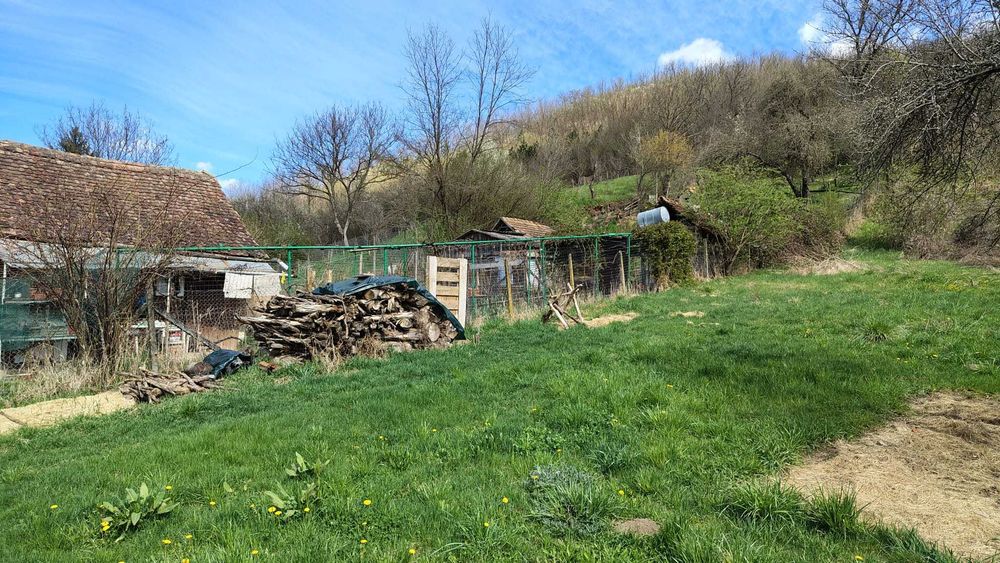 Casa saseasca Seleus (Zagar)