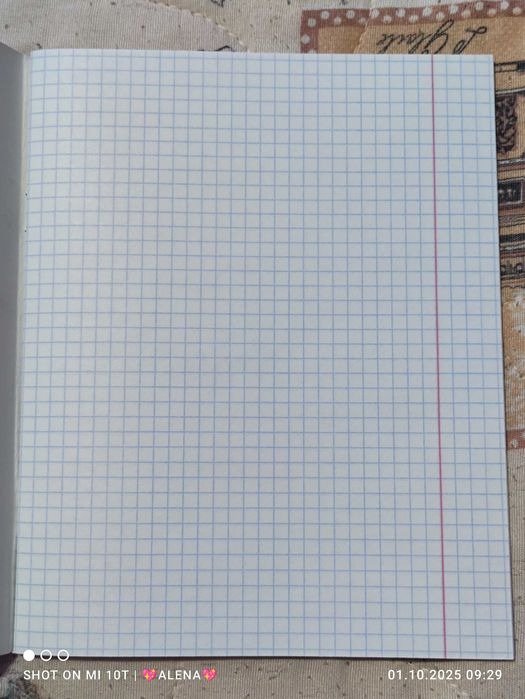 Общии тетради в клетку. 48 листов.