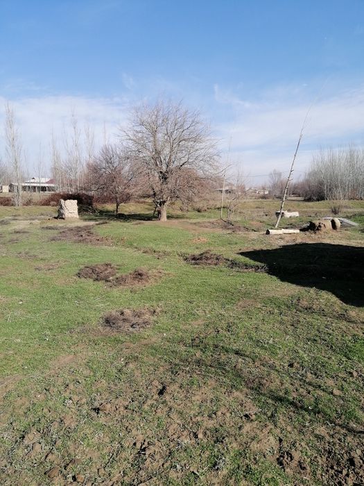 Yer sotiladi nurobod tumani boshquduq qishlogida suvli yer sotiladi