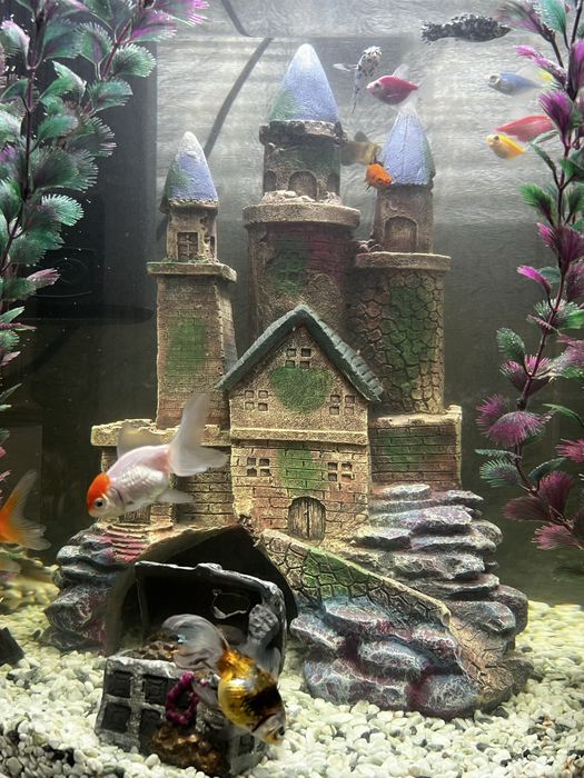 Декор для аквариума