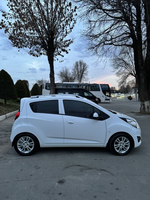 Spark. 4-poz. Lux tayyor