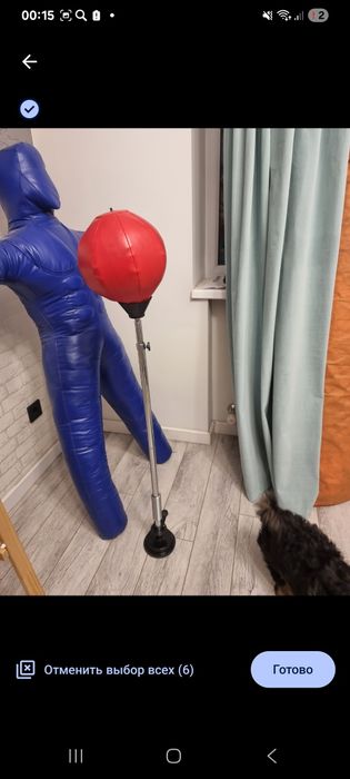 Продам грушу напольную