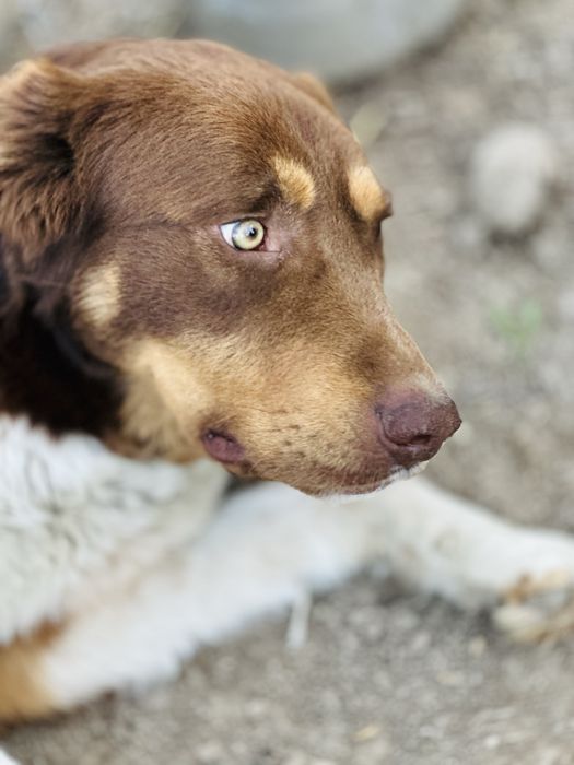 Хаки! Молодой мальчик ищет семью