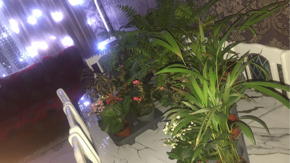 Продам или обмен