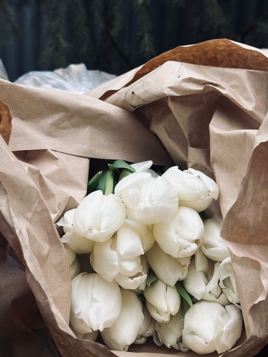 Тюльпаны 5 видов