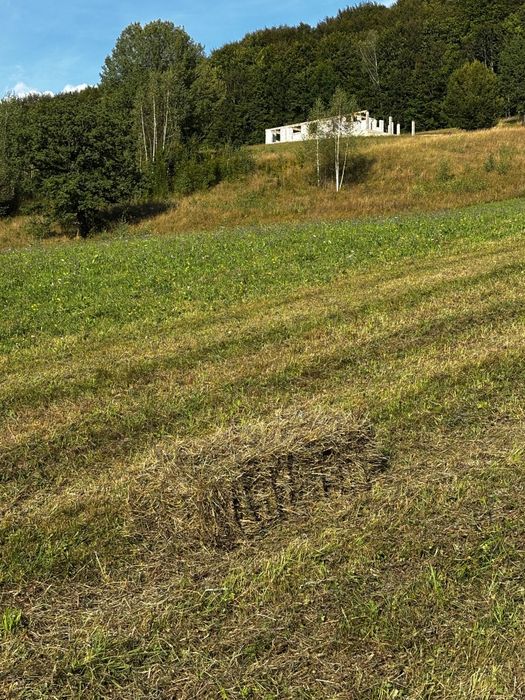 Baloți de otavă de vânzare