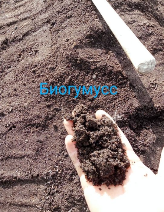 Доставка навоз, биогумус, цены разные.