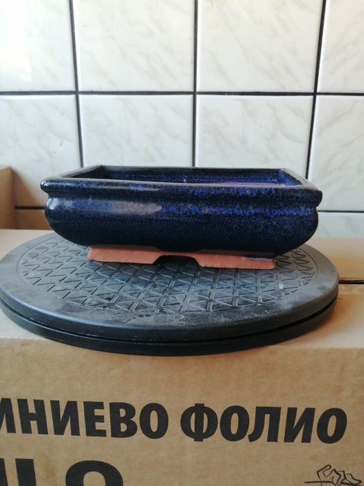 Бонсай саксии-среден и малък размер