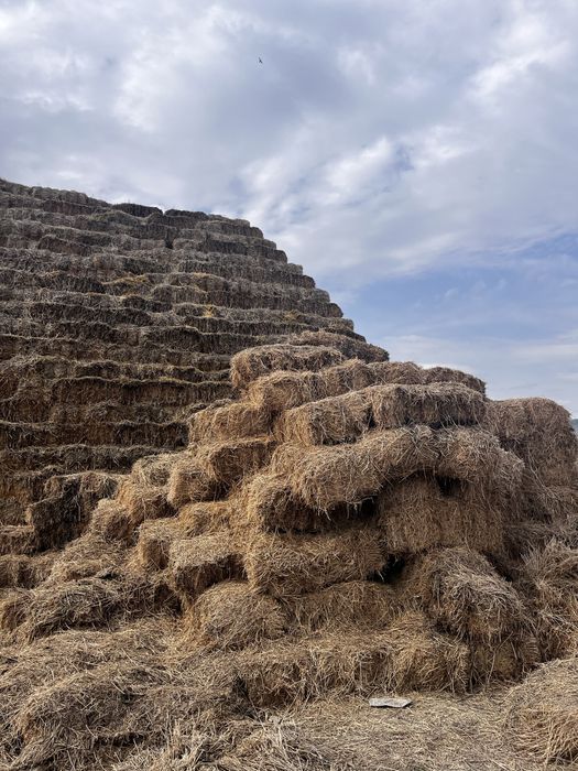 Тюки Саломы для скота