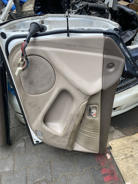 Ноускат Виндом 21