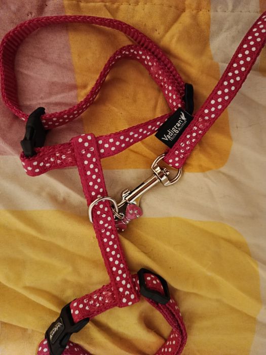 Нагръдник за котка