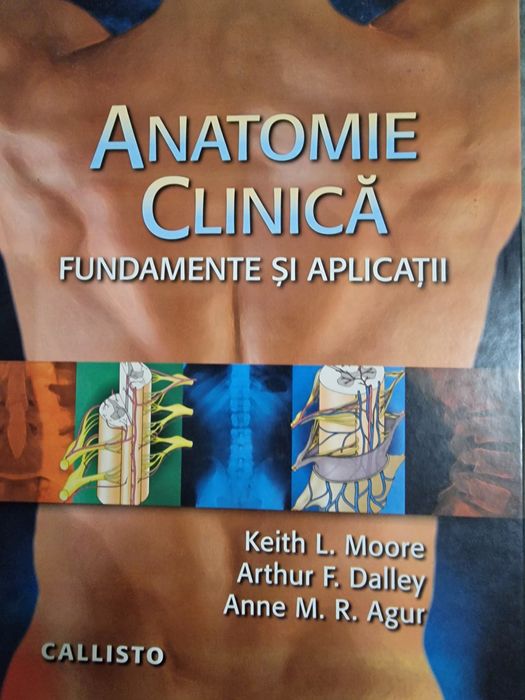Anatomie clinica