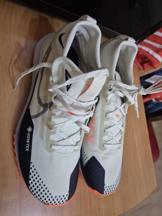 Nike Pegasus Gore tex