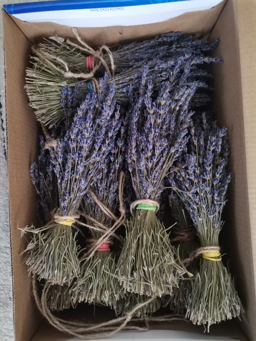 Lavanda uscata, 2025, buchet 80-100 bc.