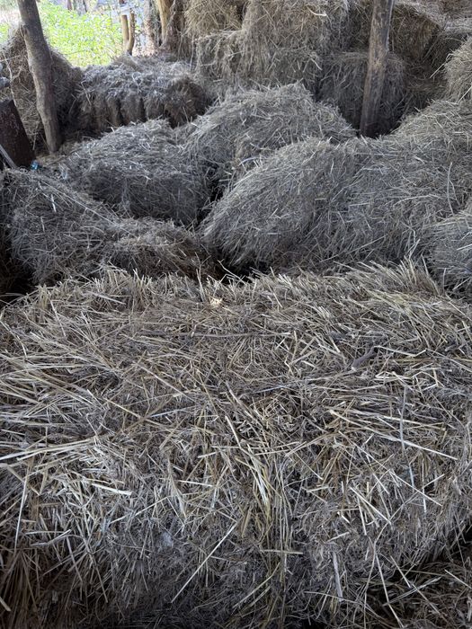 Продам тюки и сенно рассыпное