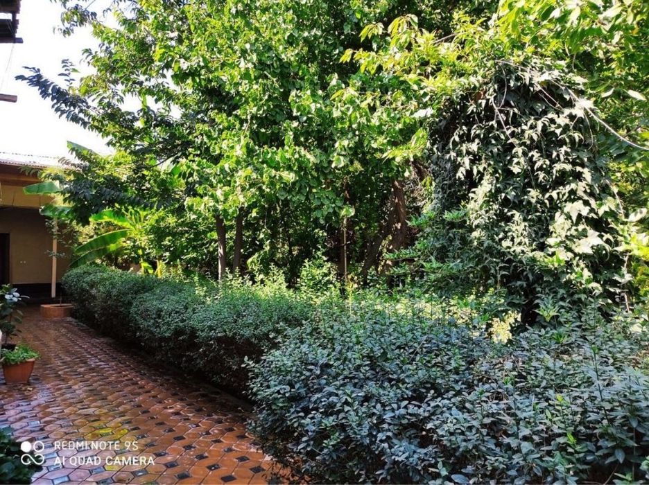 toshkent shaxar olmazor tumanida 10 sotikli fayzli honadon sotiladi