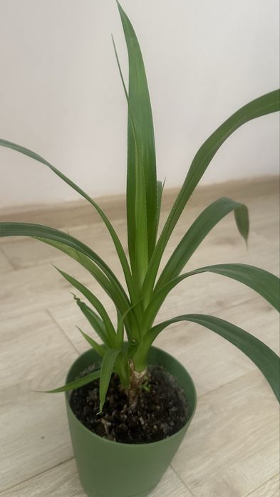 Срочно, все за 20 тыс. тенге