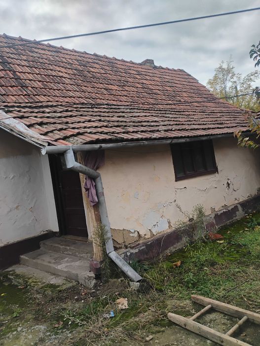 De vânzare casa in județul Arad sat Rapsig