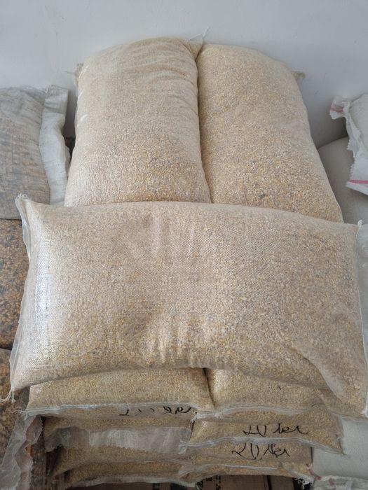 Vindem porumb,  furaje granule, brizura, macinate.
