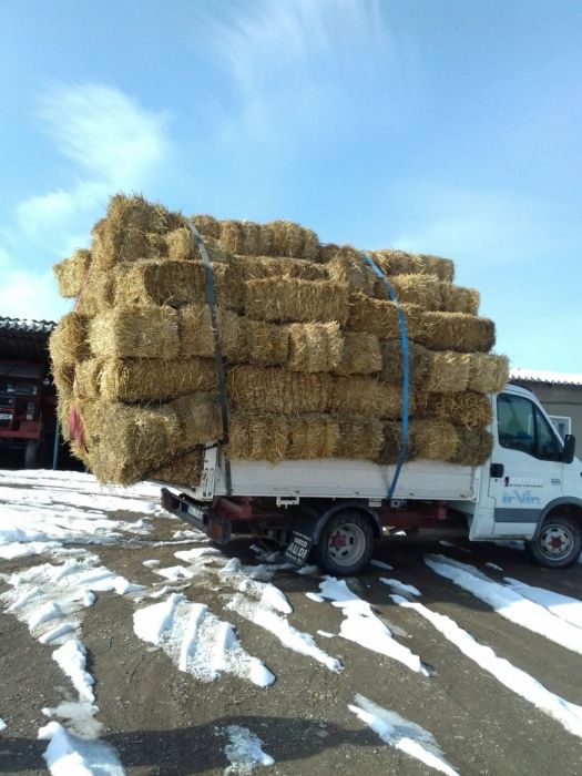 Vind baloți de grîu și ovăs, prețul variază  în funcție cantitate 0741