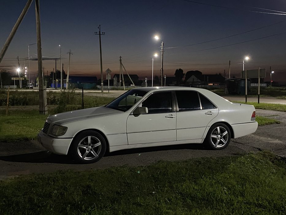 Продам кабана w140