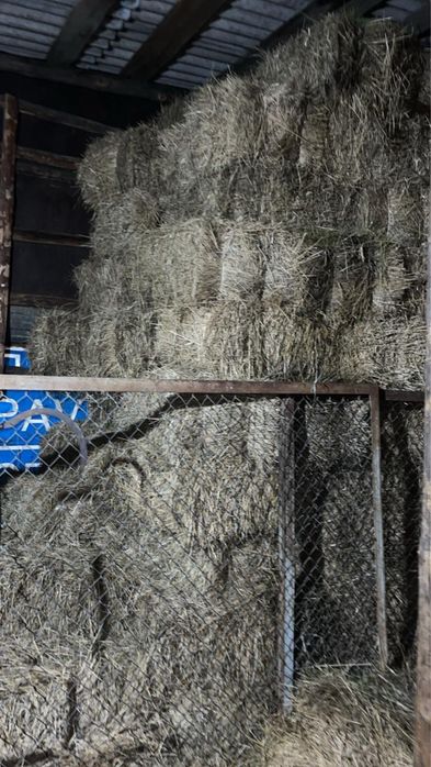 продаетя сено в ткюках