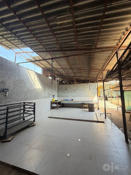 qoylar qoʻchqor sotiladi jivoy vesiga 95.000 mingdan kota qoʻylarmiz