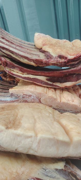 Продам Конина қазы