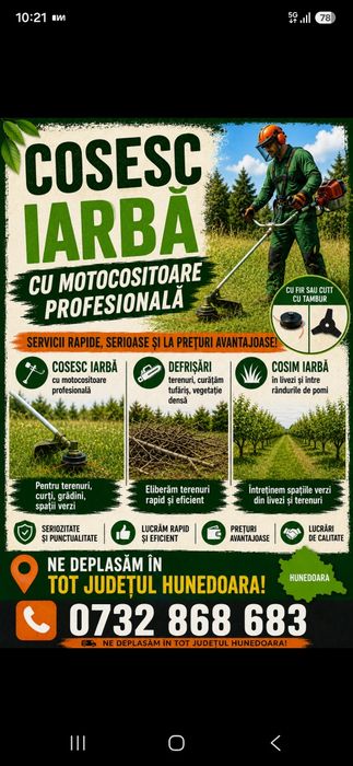 Tai lemne de foc cu drujba-cosesc cu motocositoare-sap spații mici cu motosapa