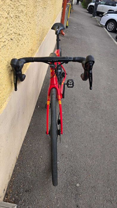 Cursiera Tifosi Auriga