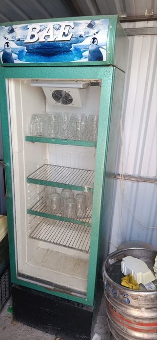 Muzlatgichlar Artel va Bao