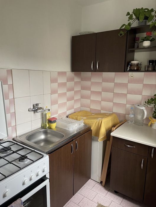 Apartament 2 camere Restaurantul Dacia 3 din 4
