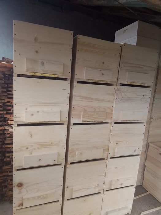 Vind Lăzi stupii  noi 170 lei
