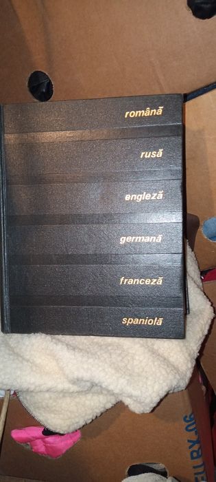 Cărți dicționar român-englez