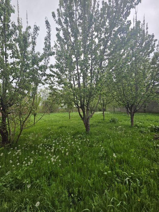 Продаётся участок 13 соток у реки ЗАХ.