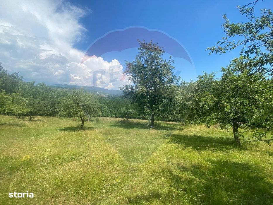 Teren intravilan 12458mp | Valeni (Metes)