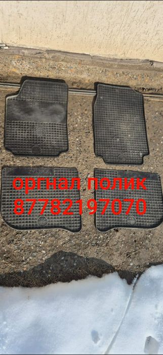 Алабаи.смечный совака