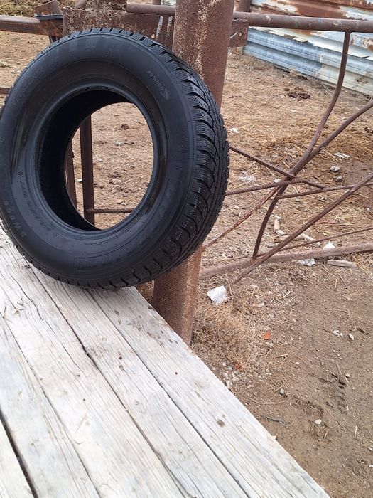 Покрышка зимный