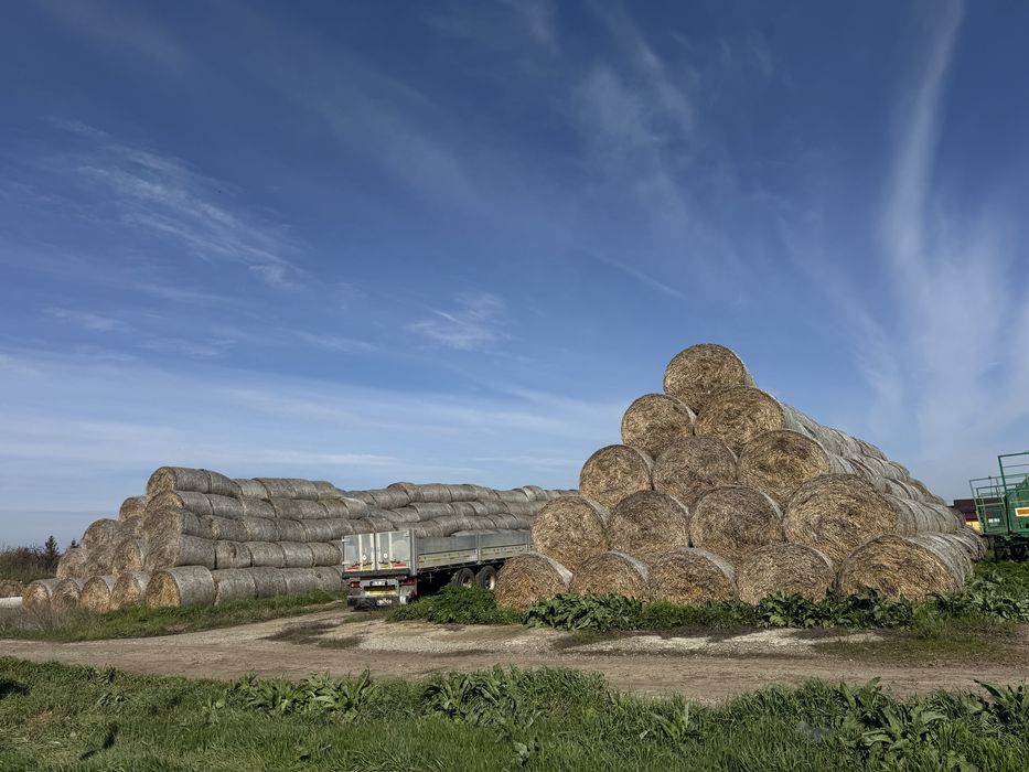 Baloți din paie de grâu