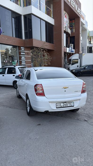 cobalt 2023/2024