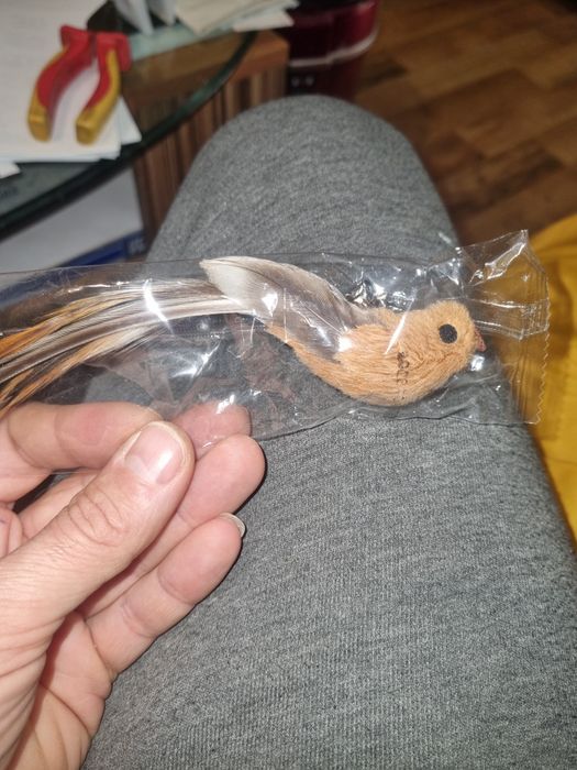 Аксесоари за вашето коте