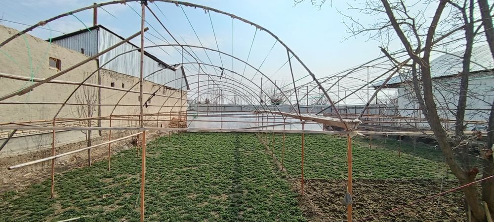 Teplitsa. Parnik konstruksiyasi sotiladi