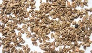 Семена моркови сорт Шантанэ