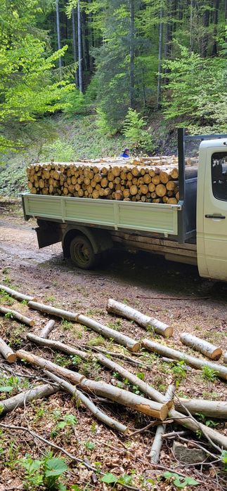 Lemn de foc din fag-de vânzare!