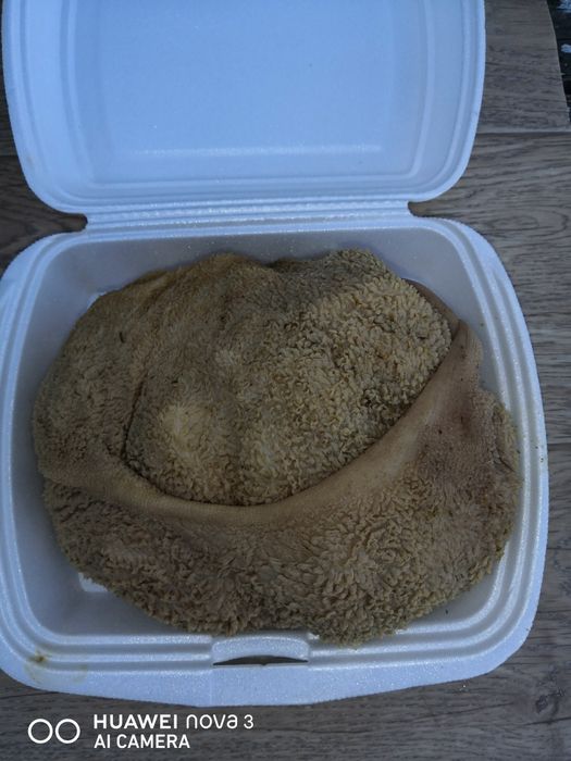 Натуральный корм для собак